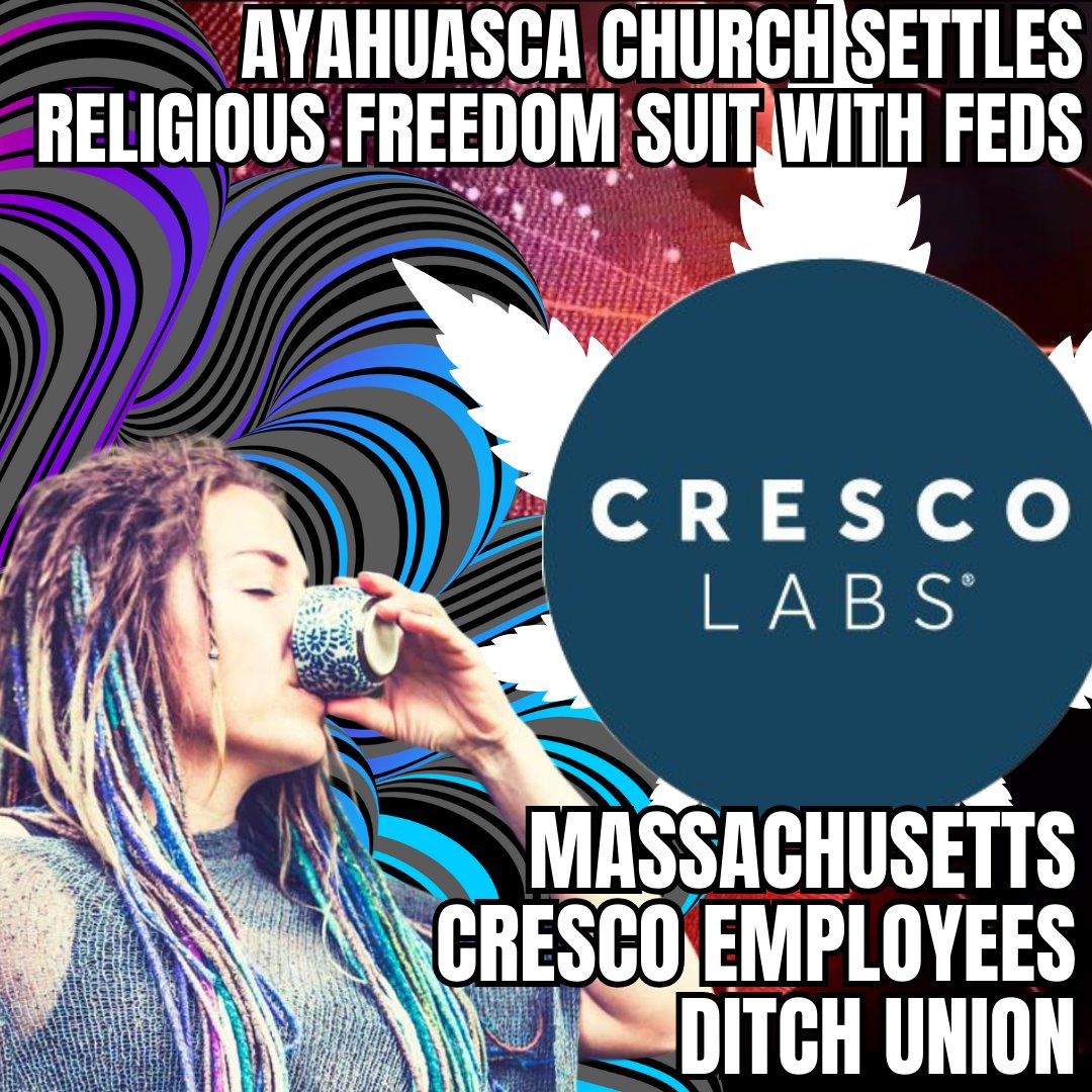 Cresco Labs employees in Massachusetts opt out of union representation, while concerns arise over heavy metals in rolling papers. Meanwhile, an Ayahuasca Church settles a religious freedom suit with the federal government, as a study links state marijuana legalization to