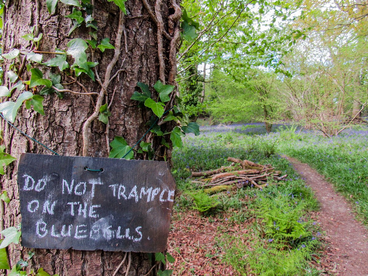 Tread lightly and leave no trace #nature