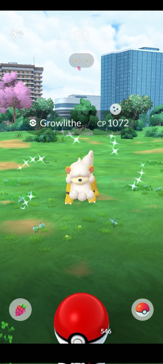 Anyone else feel like shinies are popping up everywhere at the minute? I've had 10 in 2 days 🍀✨️

#PokemonGO #Pokemon #ShinyPokemon #Niantic