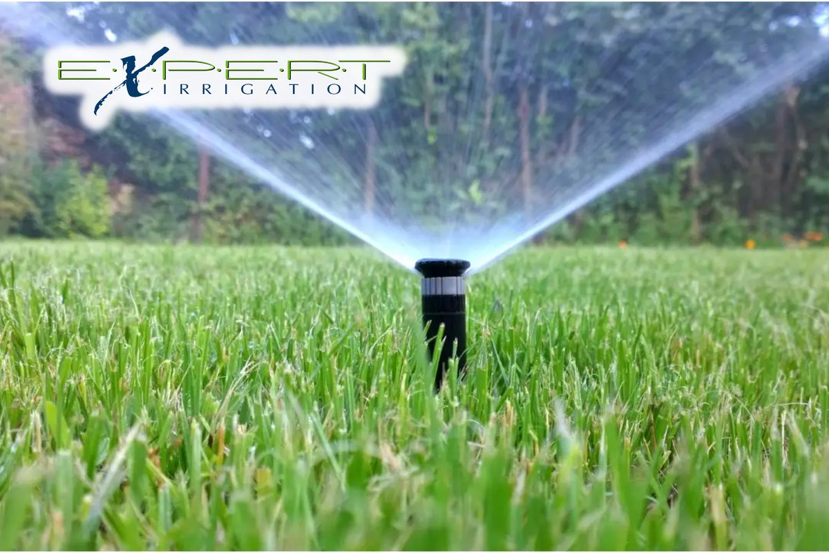 Regular annual maintenance is key to a lush lawn! Ensure its health with lawn irrigation repair services from Expert Irrigation. Don't let issues linger; schedule your maintenance today! 💦🌱 #lawnmaintenance #expertirrigation #healthygarden 🏡🔧
