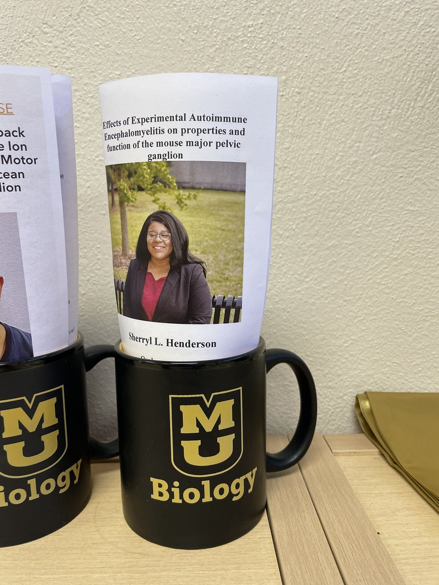 David Schulz tweet media