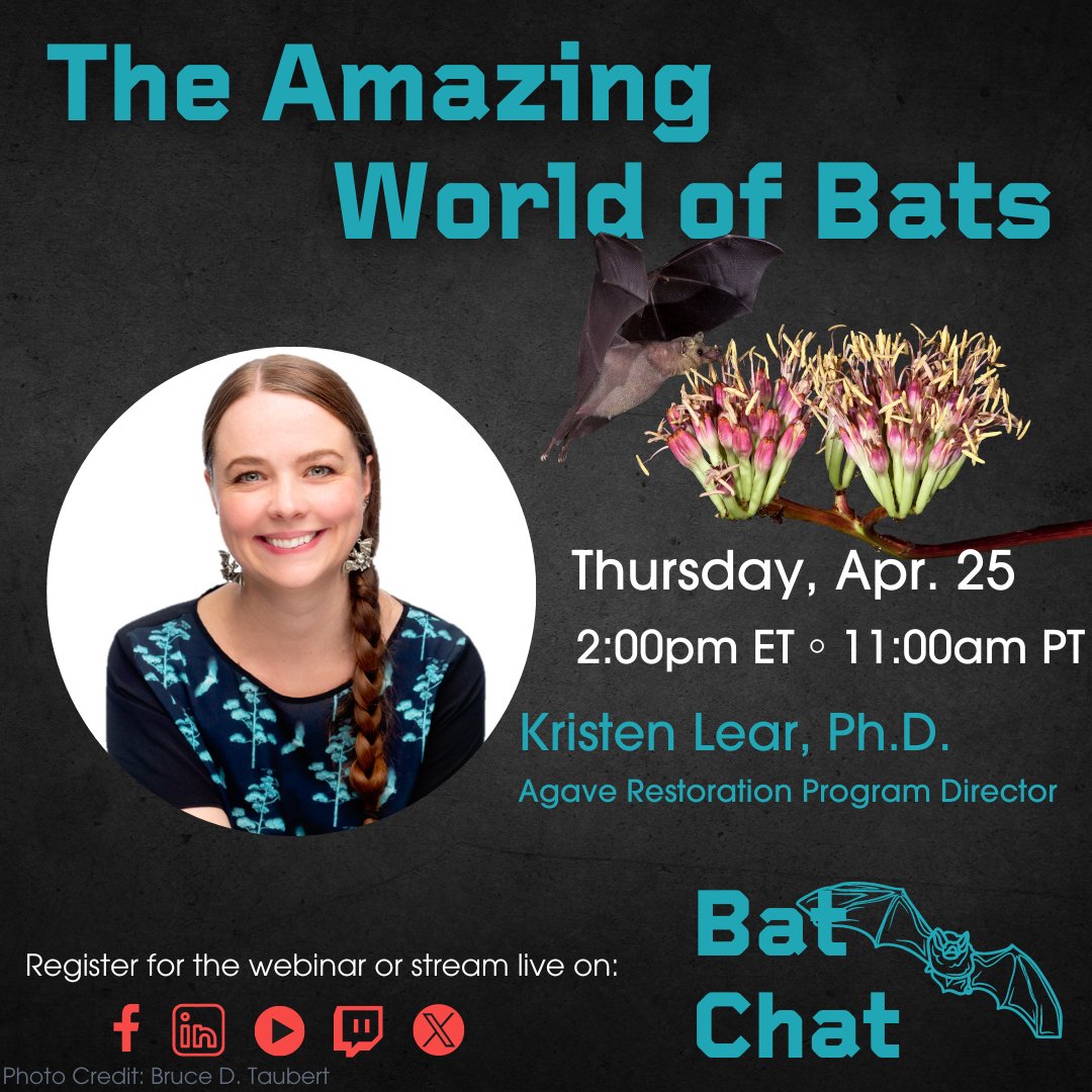 Tune in live tomorrow for April's Bat Chat here on X!