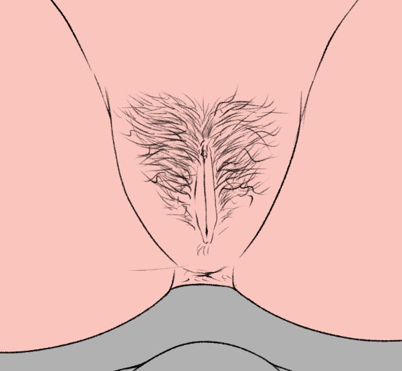 stellarwh0re's tweet photo. working on comms and I have drawn the best bush ever https://t.co/HQYDj7Ttvw
