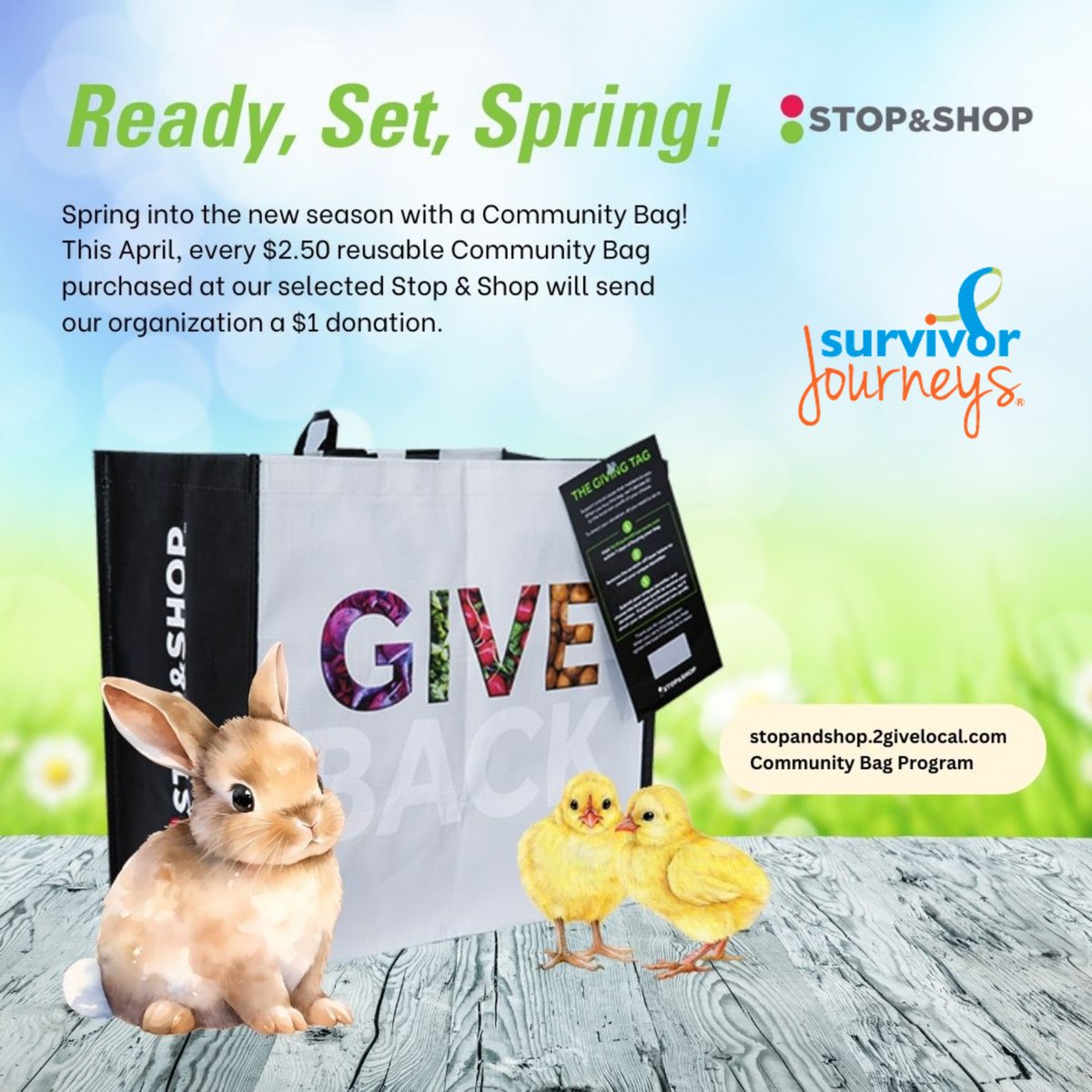 The days are counting down to purchase your Stop & Shop reusable bag at the 470 North Main Street, East Longmeadow, Massachusetts location! All donations are greatly appreciated and help our organization continue to provide support groups, mentor programs, and our resource hub!