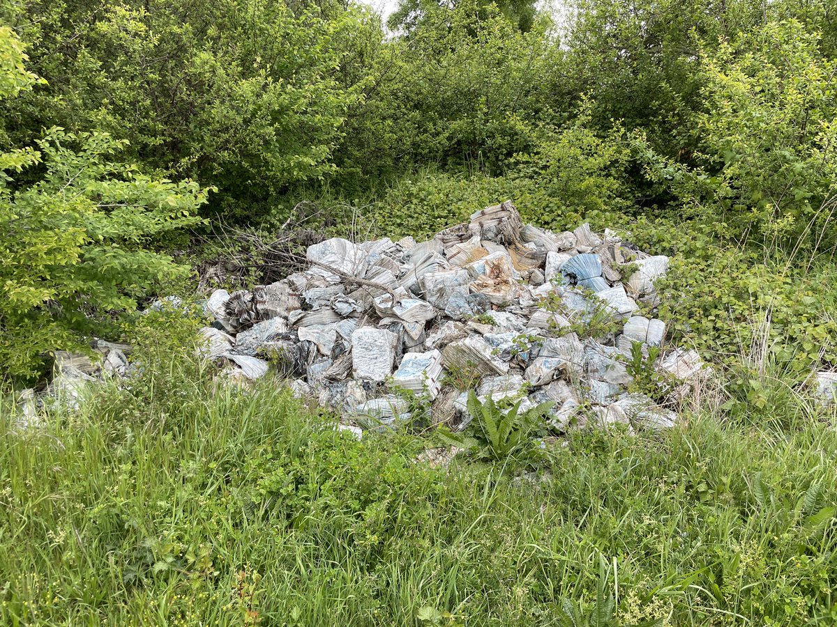mathieupassenau's tweet photo. Petit florilège des trouvailles dans un chemin isolé d’accès aux champs : 
- un châssis de caravane 
- des tas de prospectus (j’ai ma théorie sur le sujet)
- des branchages en tout genre 
#saccageLaCampagne https://t.co/2XZvnUFFdV