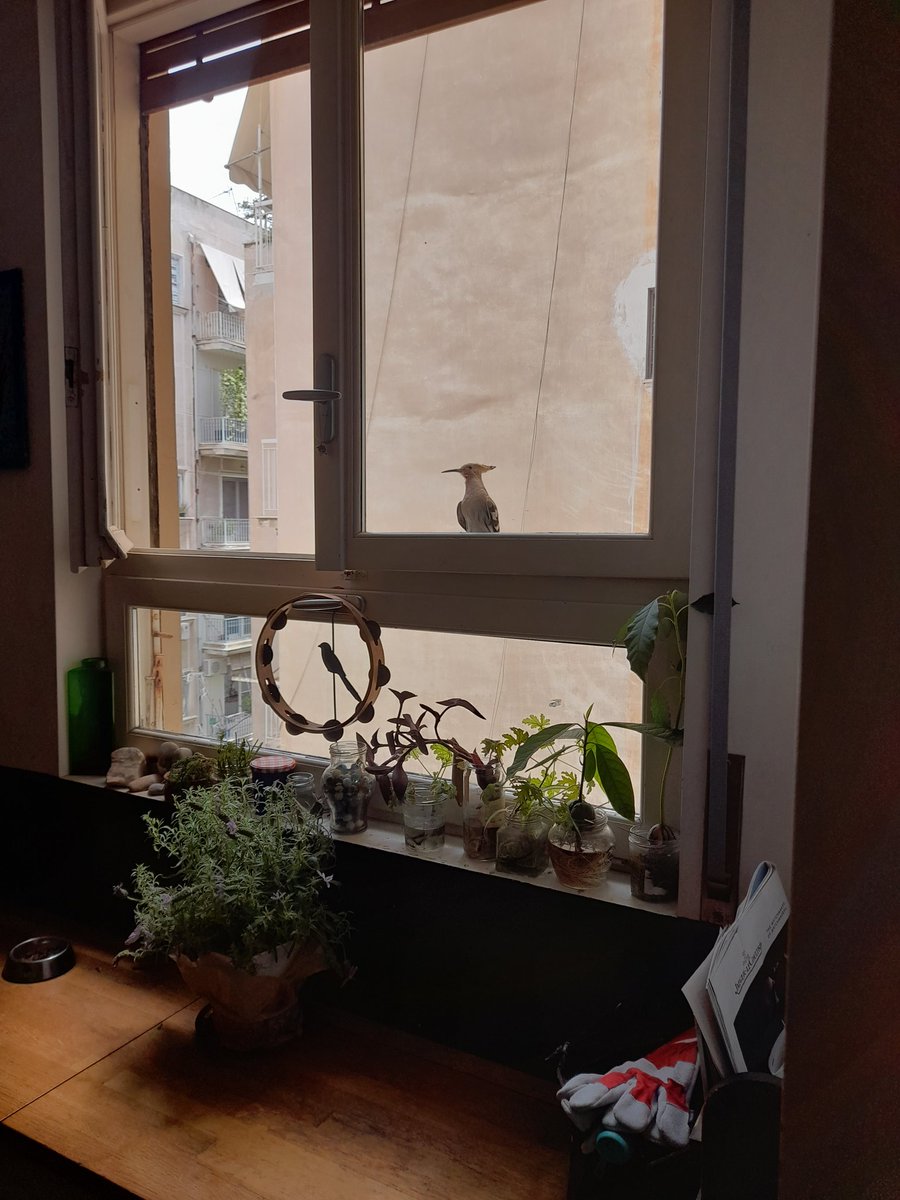 El Jack 🌊🌻☮️ tweet media