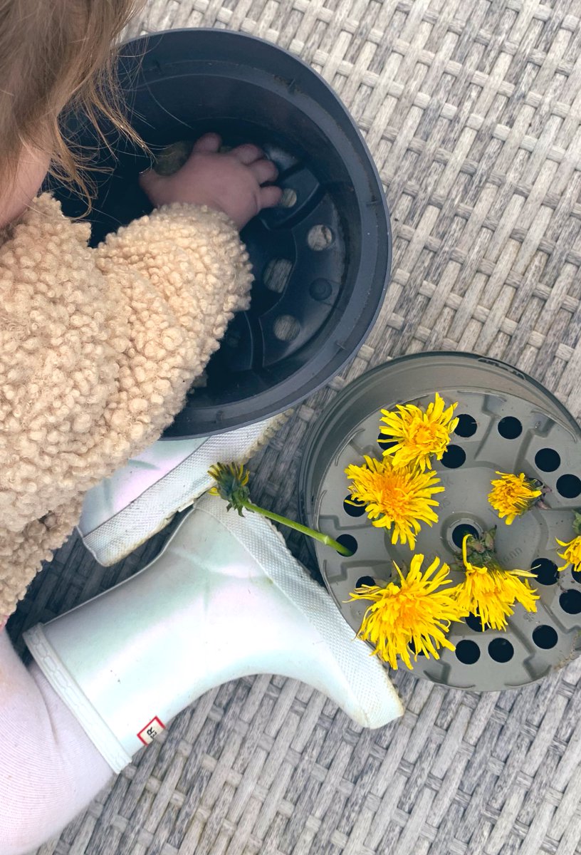 Lighter evenings 🌼🫶🏻🌞
