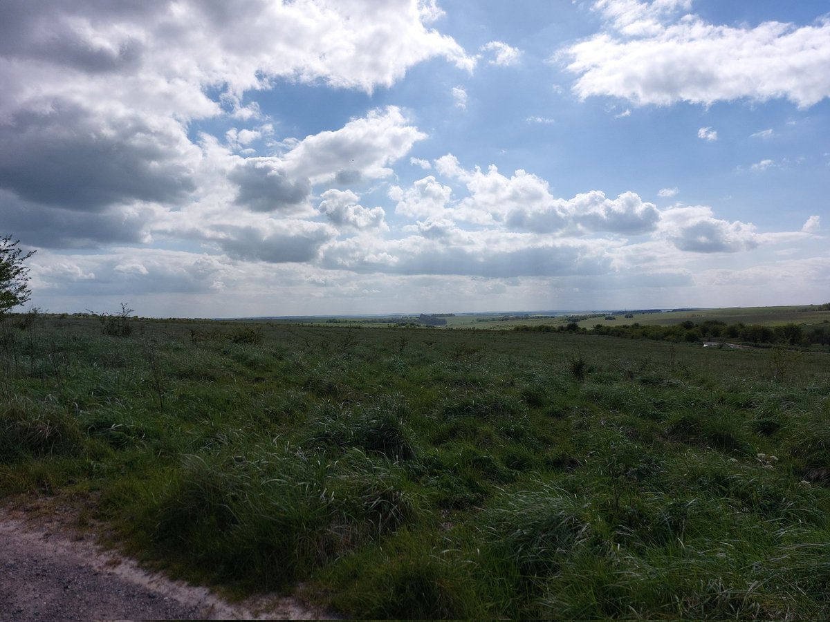 jonny-goes-wild tweet media