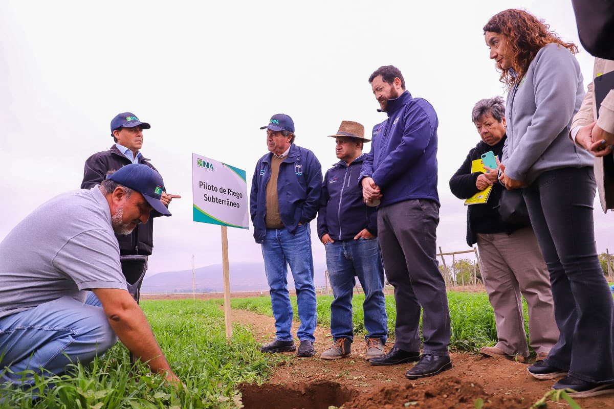 Avanzar en mayor eficiencia hídrica, de la mano de la sustentabilidad, innovación y nuevas tecnologías es fundamental para enfrentar la sequía en la región de Coquimbo. Estuvimos con los servicios del @MinagriCL en la parcela experimental de @iniachile en Pan de Azúcar viendo