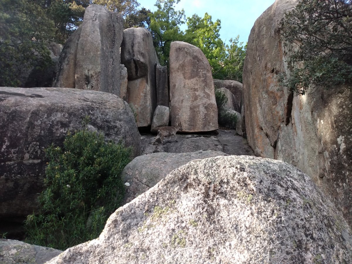 DGCerdeno's tweet image. Wee evening run after another successful staff meeting