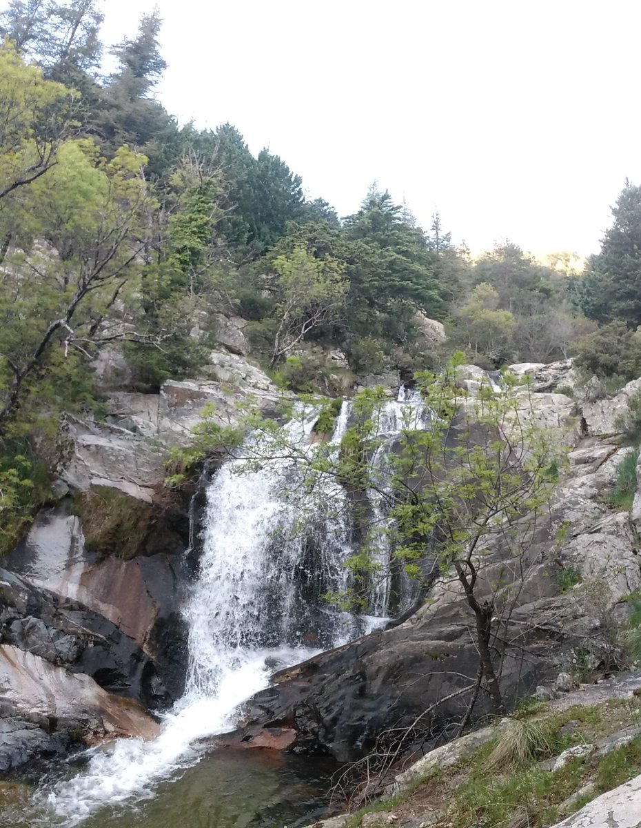 DGCerdeno's tweet image. Wee evening run after another successful staff meeting