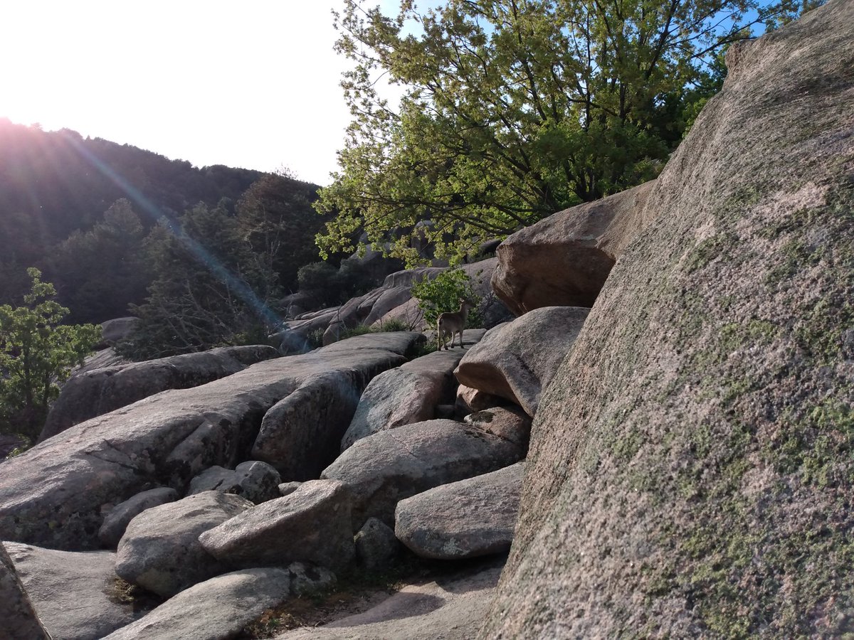 DGCerdeno's tweet image. Wee evening run after another successful staff meeting