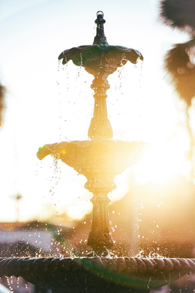 naturalchoicea's tweet photo. Want to know my secret to youthful looks and feeling young?

Check out my latest blog:

https://t.co/QM2WtsynDC

#fountainofyouth #foreveryoung #youthful #nutrition #nature #healthyeating #wellness #herbal https://t.co/sFjNqm7bat