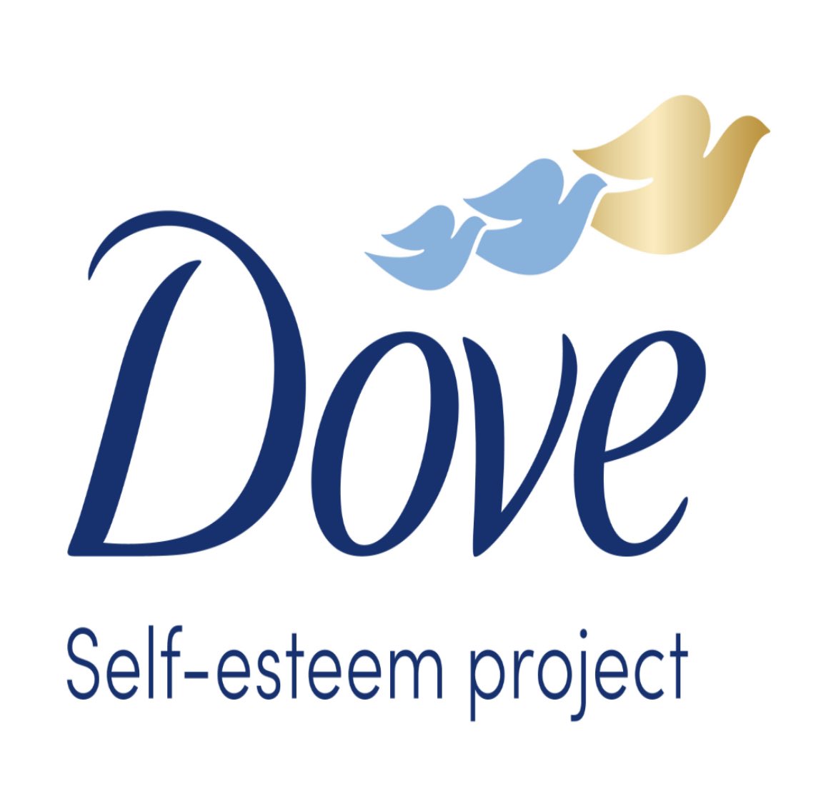 Year 7! 🙌🏼✨

I am honored & delighted to serve as a 7th year cadre trainer for the #DoveSelfEsteemProject! 

I am still committed to helping #educators to empower their students to love themselves by boosting their #confidence & #self-esteem! #DovePartner