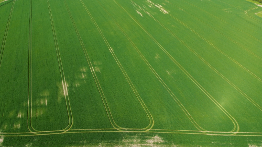 Field patterns seen this afternoon.