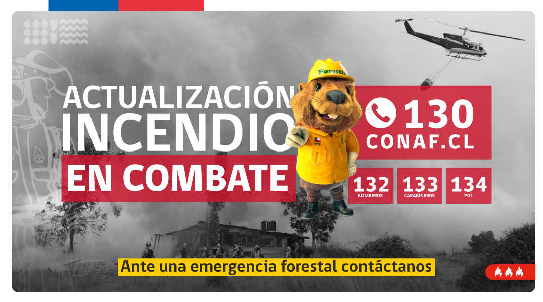 Actualización #IFCerroElCarbon, #Vitacura, #Metropolitana Se mantiene activo con intensidad media a baja y lenta velocidad de propagación. Superficie preliminar➡️0,5 hectáreas. Recursos➡️1 puesto de mando, 4 técnicos, 3 brigadas, 2 helicópteros #CONAF y Carabineros de Vitacura.