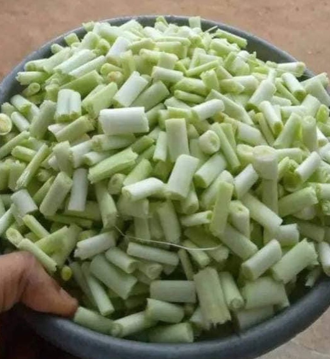 Ólú ndị Igbo tweet media