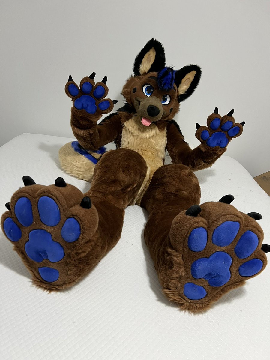 Hai! I’m just laying here on the bed showing some beans! Hope you don’t mind! 
🪡 @WildDogWorks 
#WildDogWorksWednesday
#FursuitEveryday