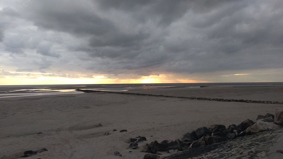 Ledroqueen tweet media