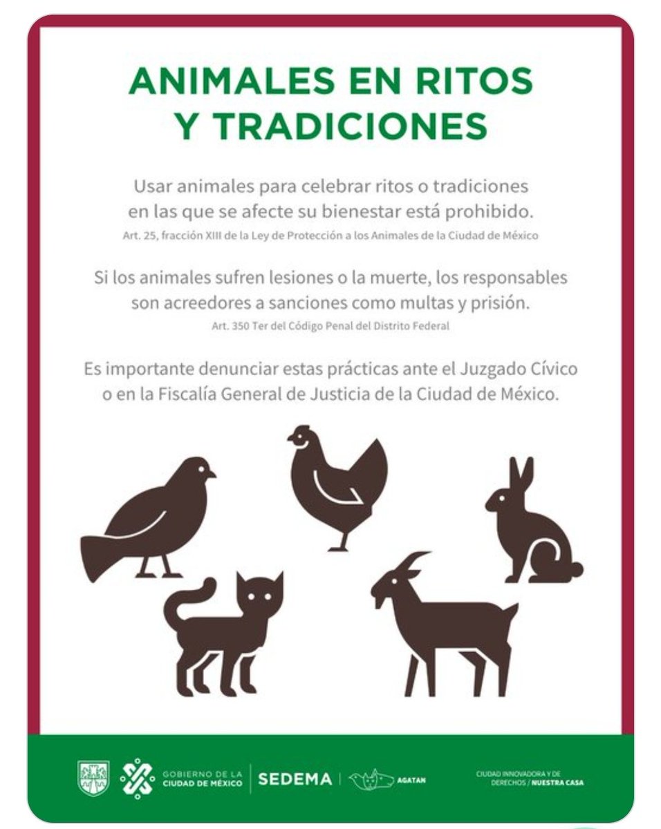 Ahora en el @senadomexicano #RitoConAnimales con legisladores de Morena #Asesinos, lo que faltaba #MorenaDestruyendoAMexico #CrueldadAnimal #MorenaSeVa