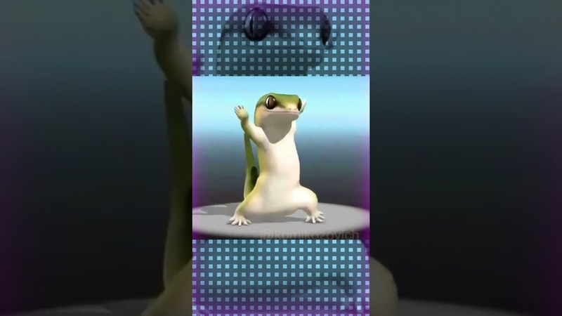 dancinglizardio's tweet photo. $LIZD #Crypto #memecoins #Memecoin2024 #DancingLizard https://t.co/LP0D4ol0yg