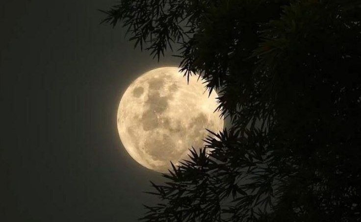 gheazal's tweet photo. "رأيتُ البدرَ فاستذكرتُ وجهًا
يفوقُ البدرَ حُسناً وانسجاما" https://t.co/XWGWanRdKA