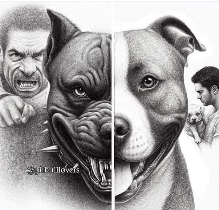 AdeaClaude's tweet photo. Il n'y a pas de mauvais chiens,  mais que de mauvais maîtres. https://t.co/xCLxUfiiGE