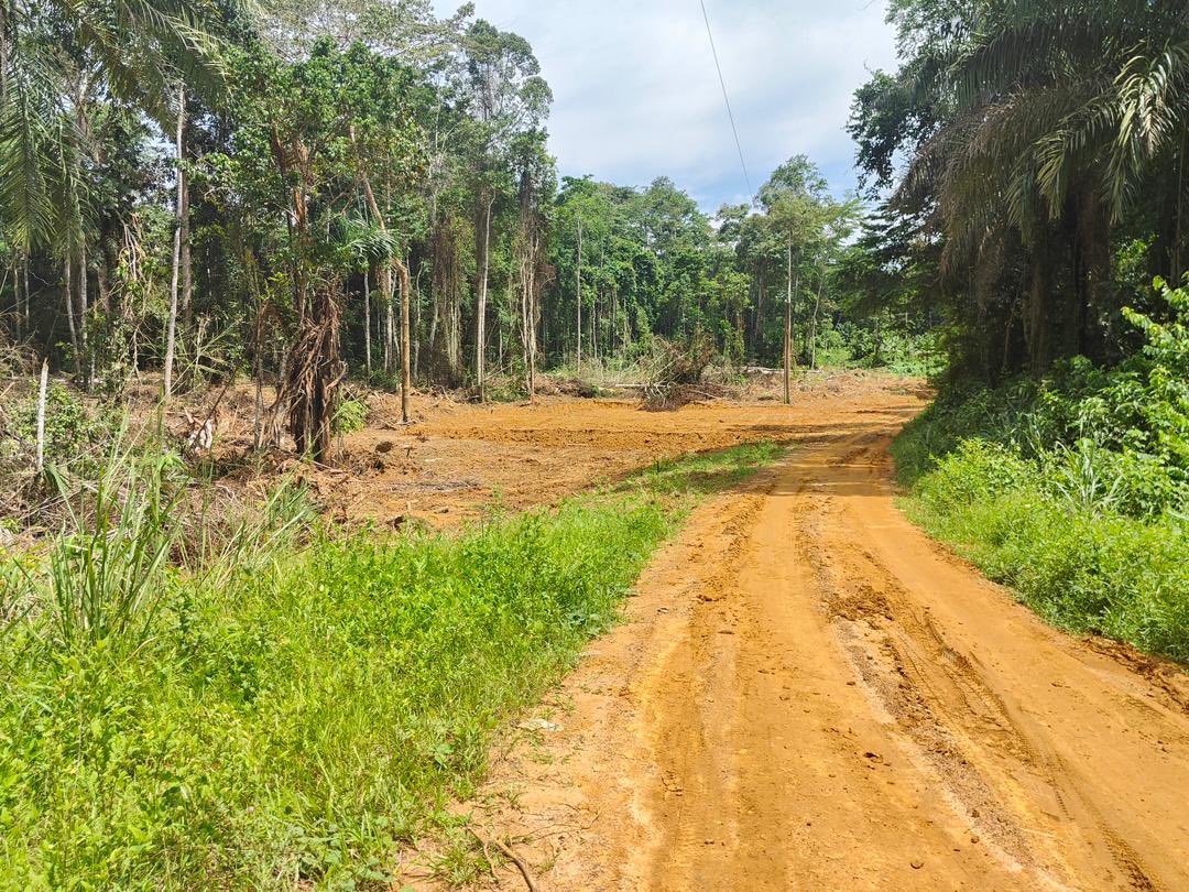 MintpGov's tweet photo. Construction of the bridge over River #Nyong at #Malombo: The company initiates the building of their living quarter, while working on their final design and the environmental management plan.
@MintpGov
#Cameroun 🇨🇲 https://t.co/gBhnQCxiJG