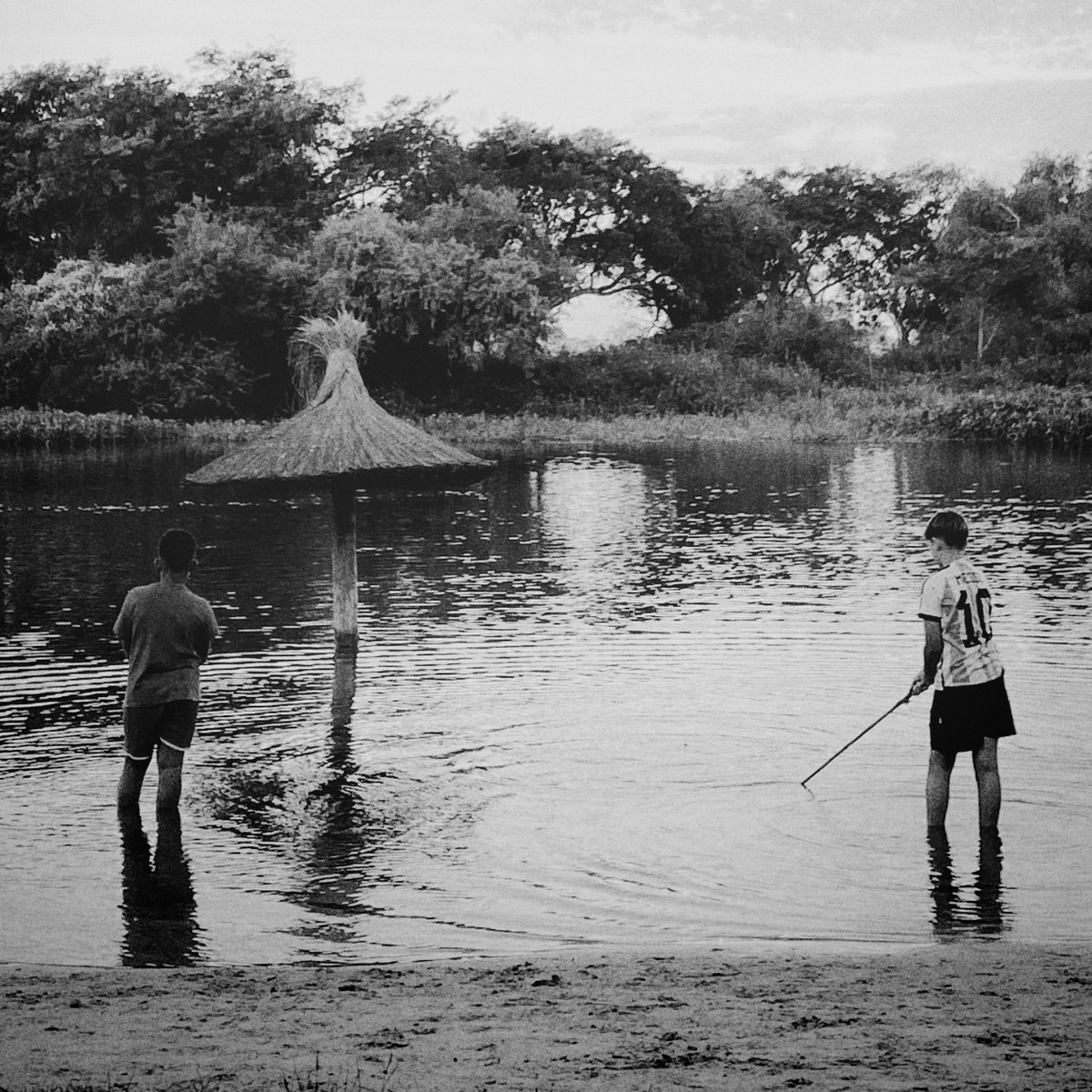 mvgnolias (@_mvgnolias_) on Twitter photo 