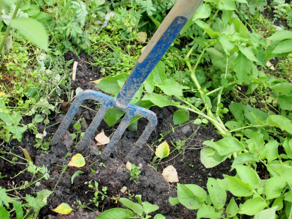 Dr. Hannah Pitt, Environmental Geography, Cardiff University, explores the supports needed for future horticulturists in 'Growing future growers: Understanding pathways into horticulture'. April 26, 9 a.m., online. Register: bit.ly/4aKZQ7L #UCalgaryArts #Horticulture