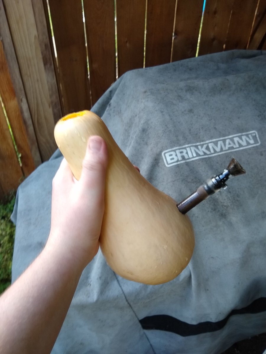 ok, I have actually tried this, gourds make very very effective bongs!! Who else has done this? #CannabisCommunity #cannabisculture #cannabis #drugstwt #weedtwt #fall #WeedLovers #weedlife