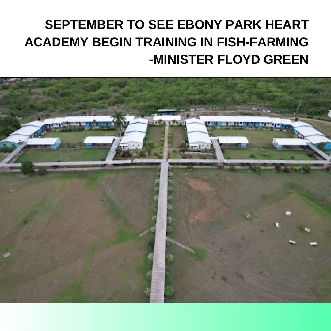 Beginning in September, the Ministry of Agriculture, Fisheries and Mining, in partnership with HEART @heartnstatrust will begin training in aquaculture at the newly upgraded facility. This is expected to drive tilapia production and further promote local food security.