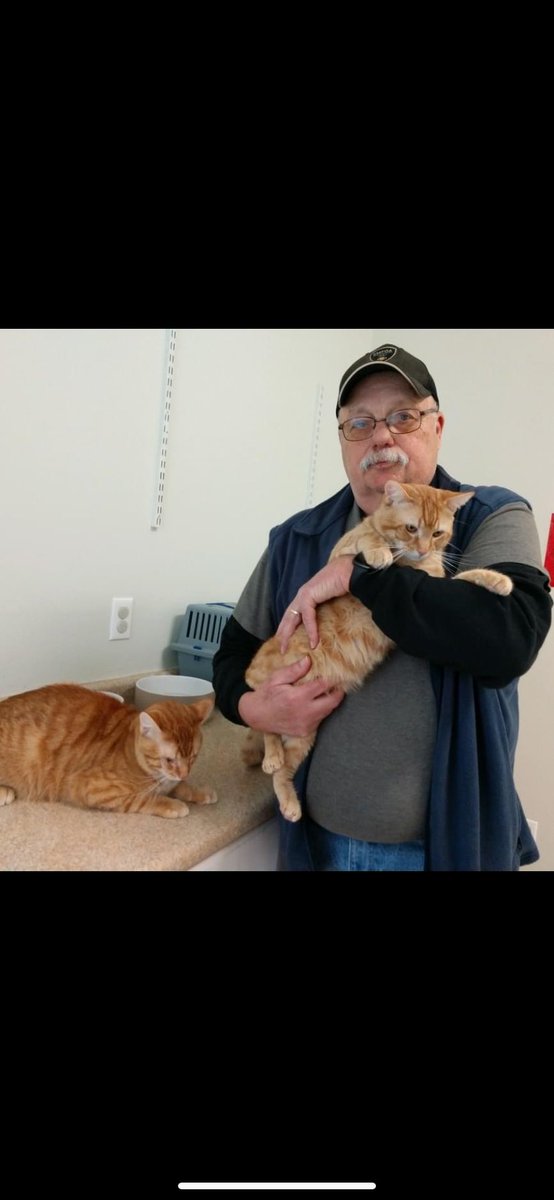 Andy and Ollie were adopted together into their new forever home! 

 #animalshelter #animalshelters #fpas #rescuelife #sheltercats #rescuecats #sheltercat #rescuecat #animalrescue #rescue #PleaseShare #foreverpawsfamily #community #adopt #familypetsaresuperheros #CatsOfInsta