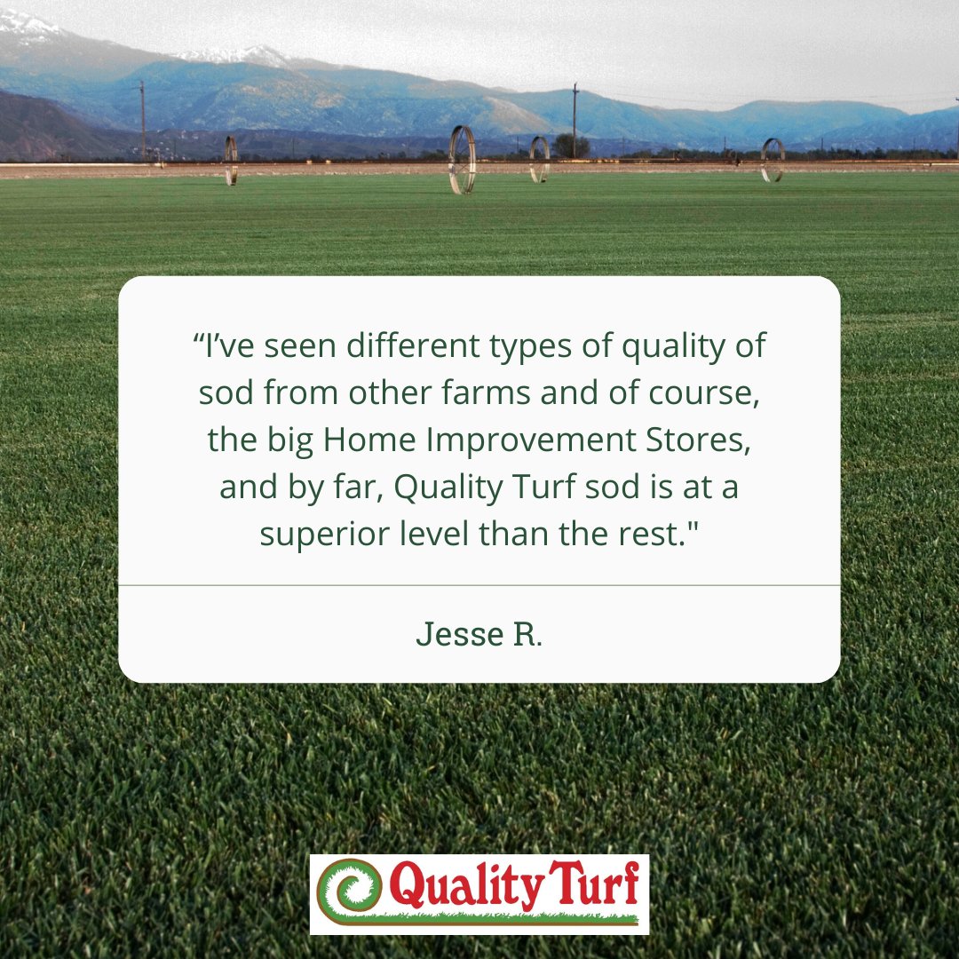 🌱 Ready to upgrade your outdoor space? 💚 

At Quality Turf, our top-notch sod is the perfect solution for transforming your SoCal home into a lush oasis that you'll love coming home to! 🏡

#QualityTurf #GreenHomes #SoCalLiving #LawnGoals #testimonial