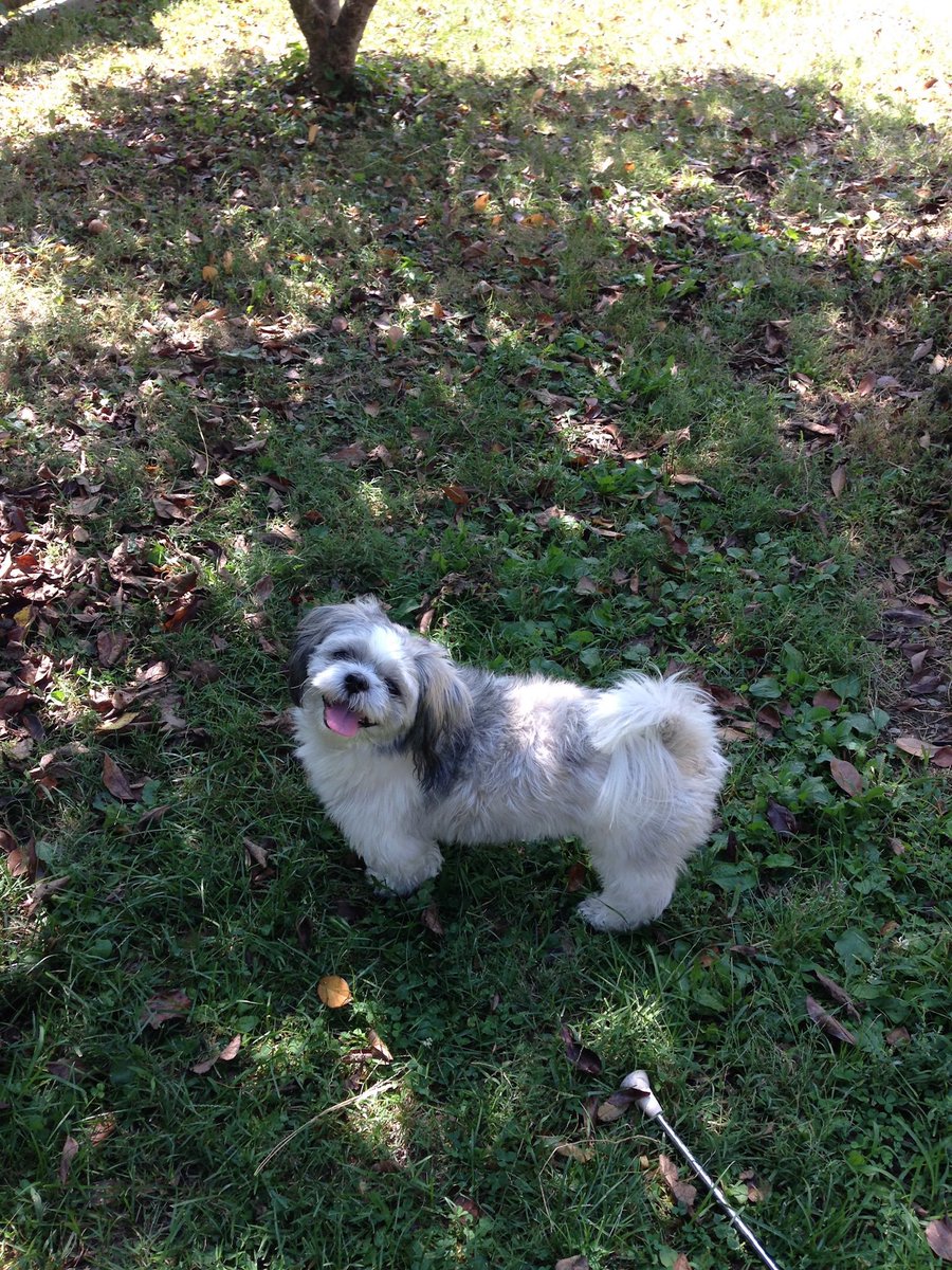 Bethany Hensel tweet media