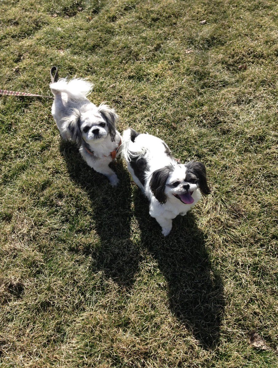 Bethany Hensel tweet media