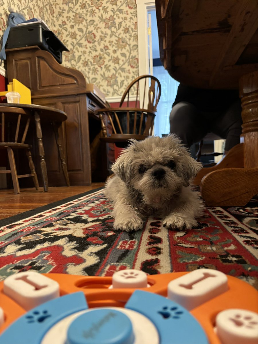 Bethany Hensel tweet media