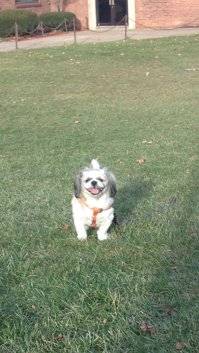 Bethany Hensel tweet media