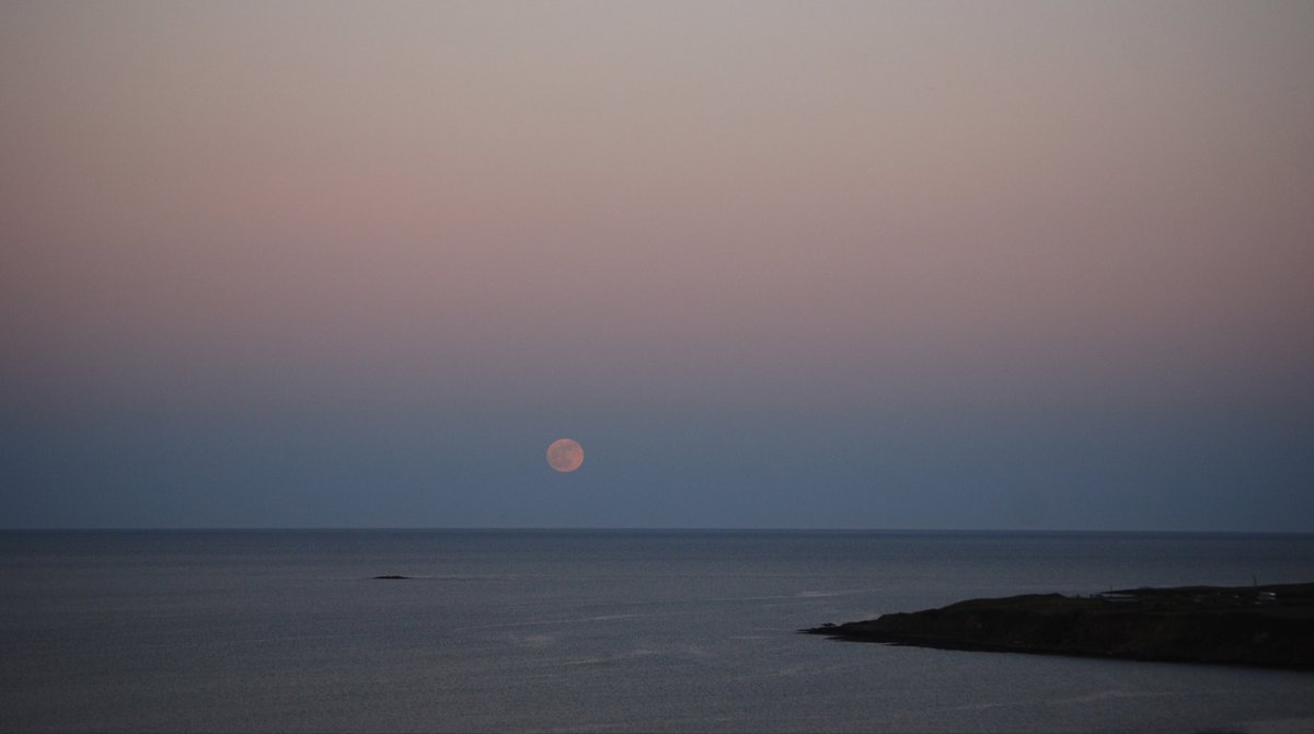 Here’s some extra shots of the full Pink Moon emerging magically from the horizon along the Celtic Sea, as April’s #fullmoon ascended into the evening sky over Courtmacsherry Bay & The Seven Heads Peninsula in #WestCork , #Ireland ! 🤩🥰🌸🌕🌊✨❤️ #pinkmoon #fullmoon #pink #moon…