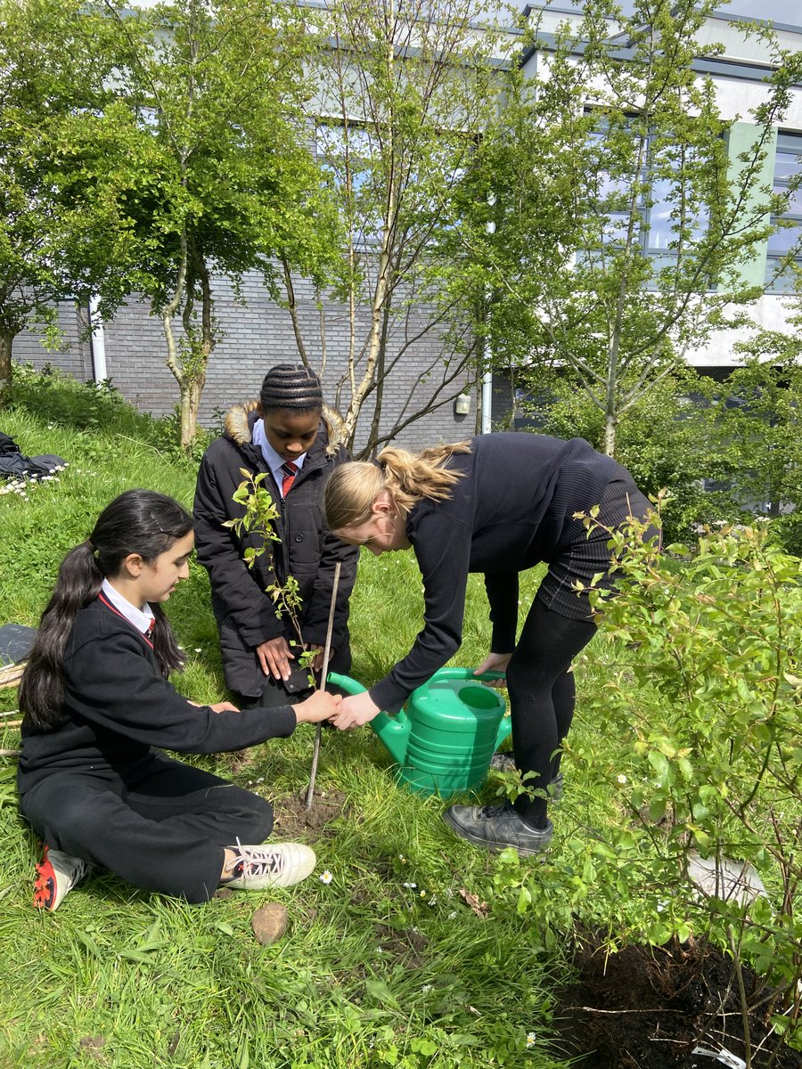 Eco Club had an enjoyable time improving the biodiveristy of the school site planting native trees. 🌳💚🌏🐞🦋