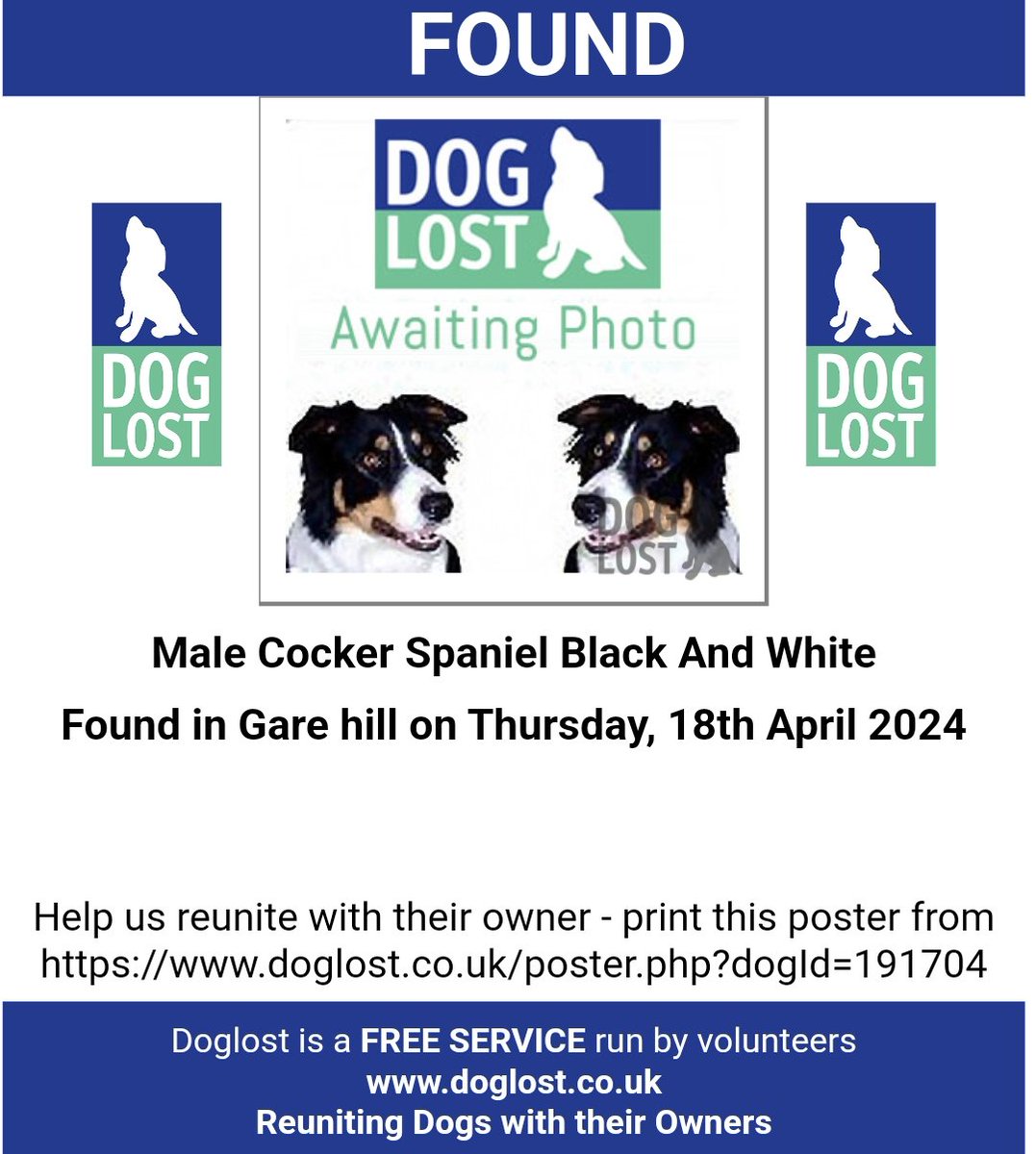 #SpanielHour Male #CockerSpaniel Black and white Spotty black and white with a white stripe on head #Found 18 Apr 2024 #GareHill South West BA11 doglost.co.uk/dog-blog.php?d…