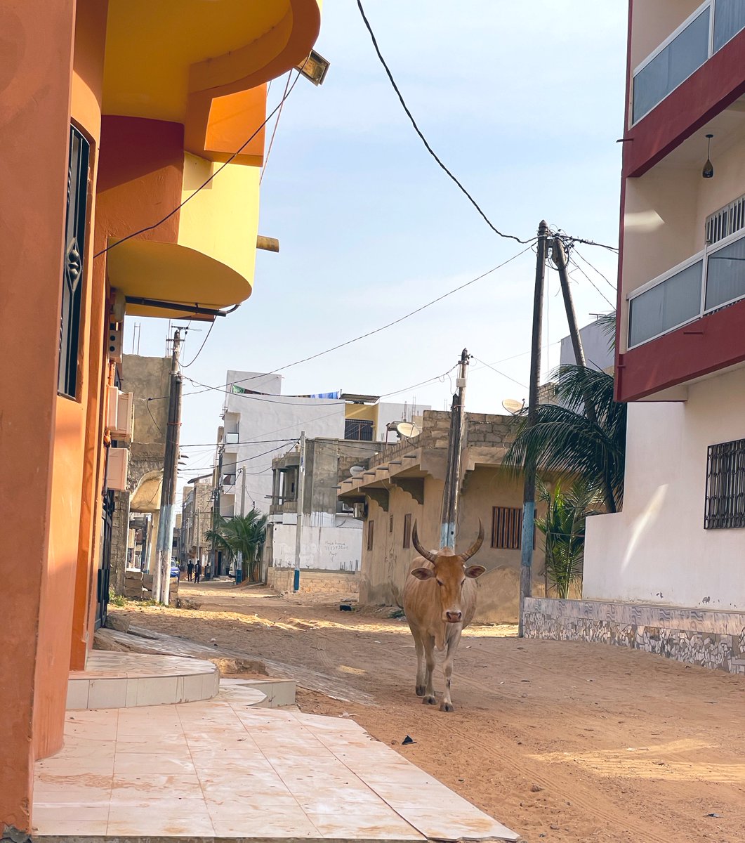 dembagueye's tweet image. Répondez avec une photo que vous avez prise, et qui ne contient ni personnes ni mots. Faisons un fil calme.