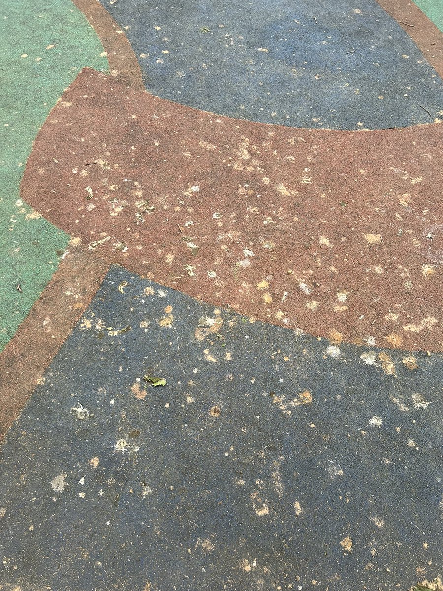 mpb16_'s tweet photo. Me parece una auténtica vergüenza el estado en el que está la plaza de la calle Guipúzcoa (a la altura de las obras del nuevo túnel que comunica calle estación y Guipúzcoa) no se puede ir ni con niños ni con animales. El parque está indecente. SOLUCIÓN YA @AyuntamientoVLL https://t.co/03C8wnoUEm