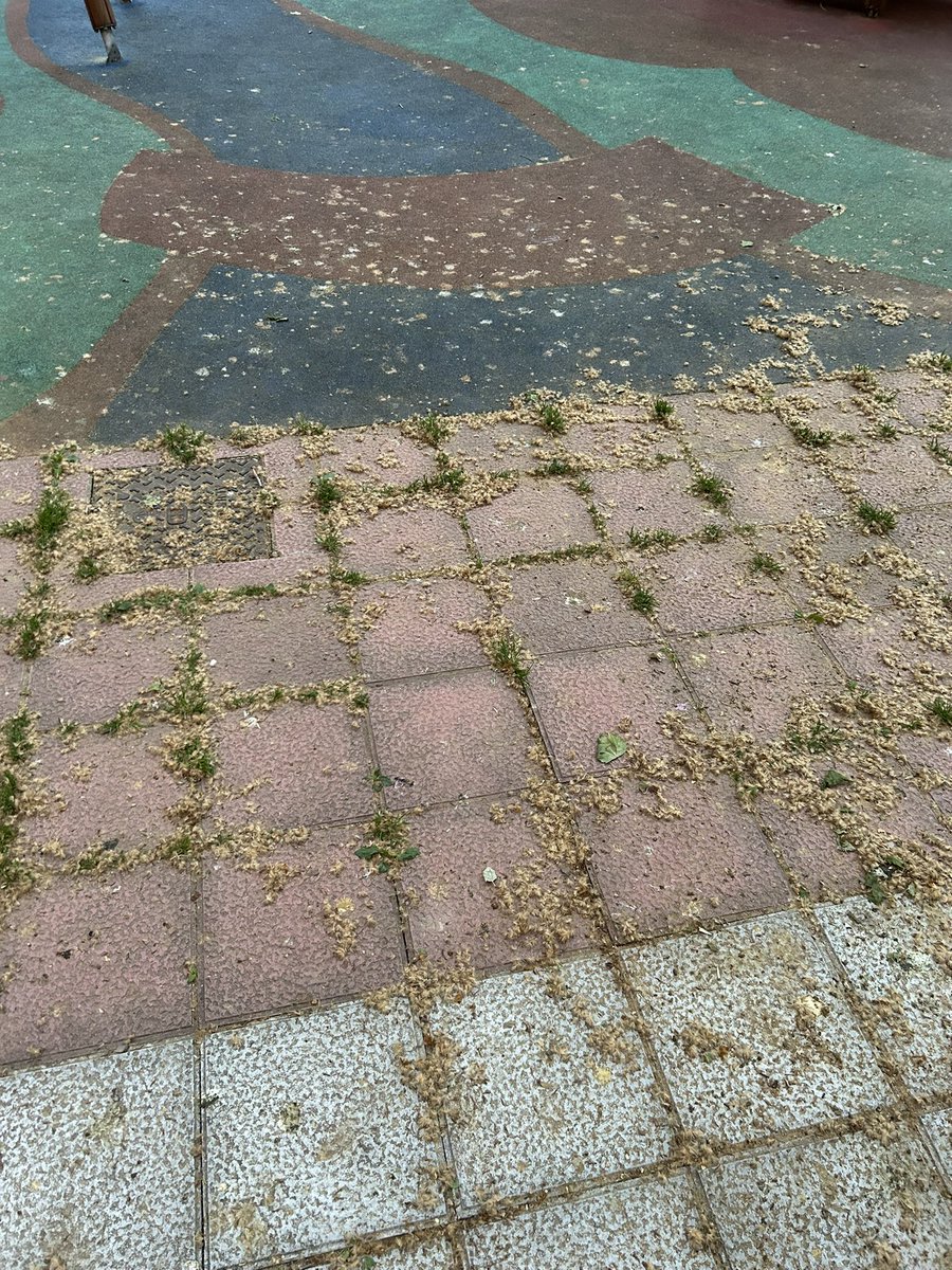 mpb16_'s tweet photo. Me parece una auténtica vergüenza el estado en el que está la plaza de la calle Guipúzcoa (a la altura de las obras del nuevo túnel que comunica calle estación y Guipúzcoa) no se puede ir ni con niños ni con animales. El parque está indecente. SOLUCIÓN YA @AyuntamientoVLL https://t.co/03C8wnoUEm