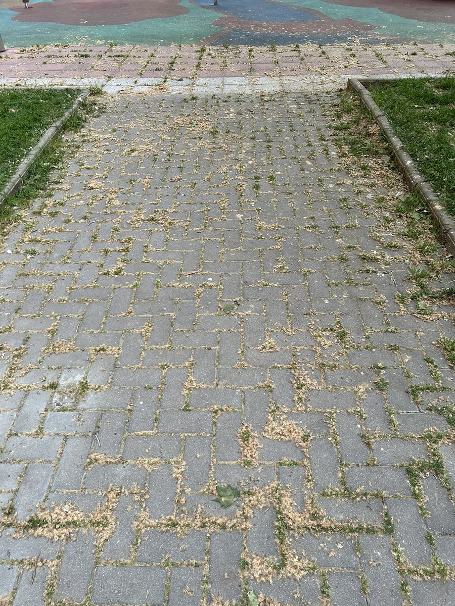 mpb16_'s tweet photo. Me parece una auténtica vergüenza el estado en el que está la plaza de la calle Guipúzcoa (a la altura de las obras del nuevo túnel que comunica calle estación y Guipúzcoa) no se puede ir ni con niños ni con animales. El parque está indecente. SOLUCIÓN YA @AyuntamientoVLL https://t.co/03C8wnoUEm