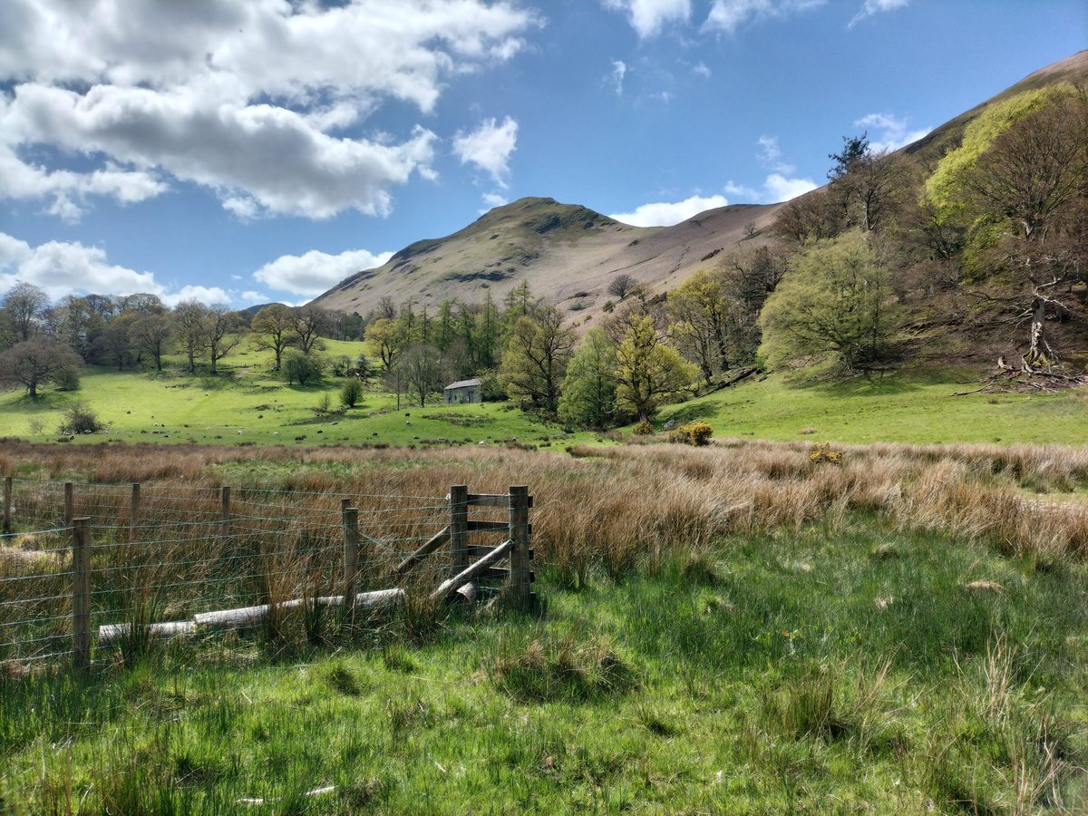 ClarenceKeswick's tweet photo. It's always great to have our parents visit, even better when the ☀️ shines and we can get out and about. Today's offering was a walk from @thelingholmkitchen along the Catbells terrace path and back for lunch.

#Clarencehousekeswick
#keswick #keswicktourism
#catbells https://t.co/8LayzVpRBI
