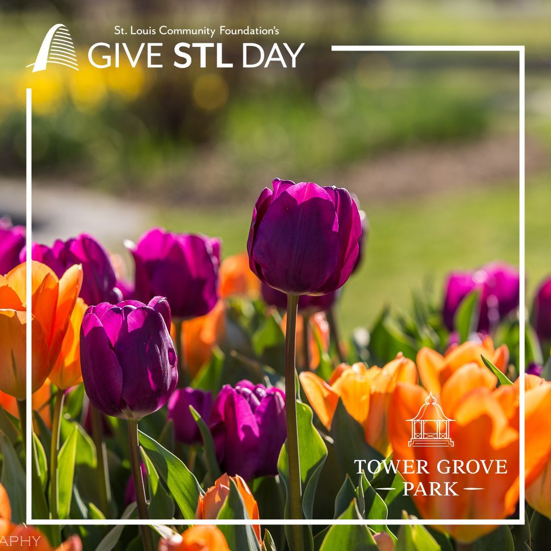 Don’t forget: you can give your #GiveSTLDay gift early to support the Park NOW! Donate now at buff.ly/3JEKPbD. @StLouisGives
