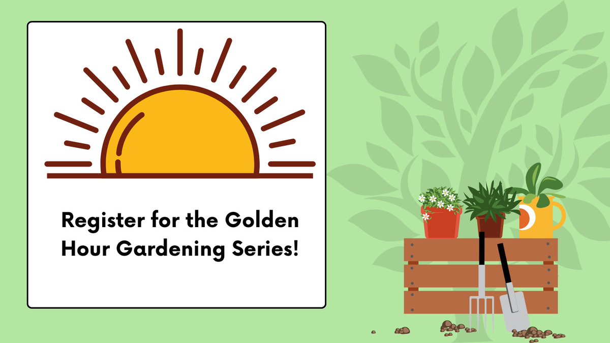 Author, landscape designer, and Woodlands resident Cherie Foster Colburn will share her expertise on gardening with native plants in this two-part series. Register today at bit.ly/3PurbTi.