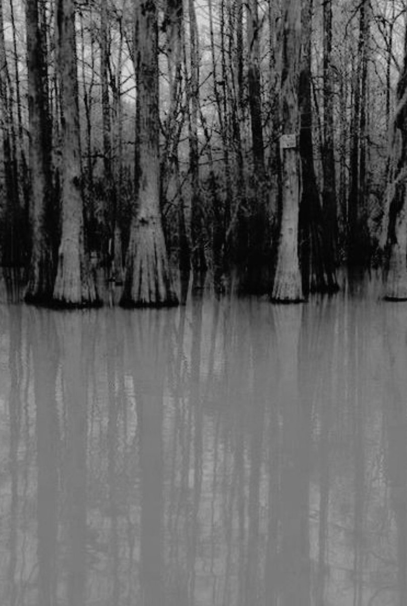 Swamps.......