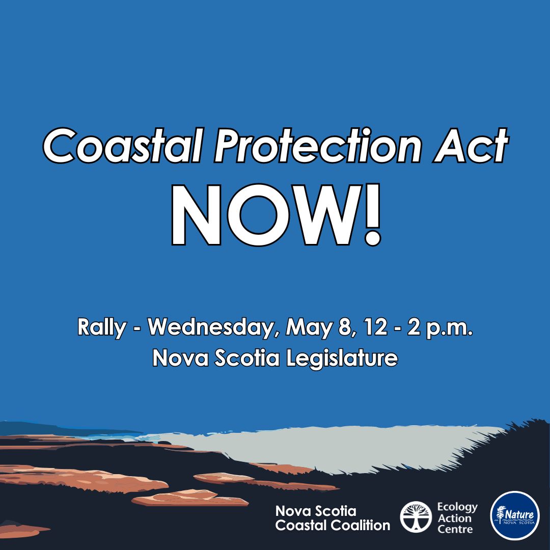 The sea is rising – but so are we 🌊 Join the Nova Scotia Coastal Coalition, @EcologyAction & @NNS_NatureNS on Wednesday, May 8 at noon at the NS Legislature to demand that the Houston government do the right thing & proclaim the #CoastalProtectionAct 👉 fb.me/e/laipLph95